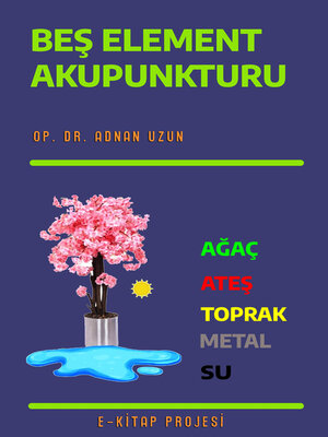 cover image of Beş Element Akupunkturu